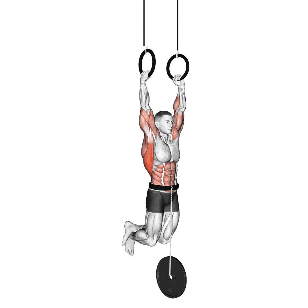 weighted muscle up