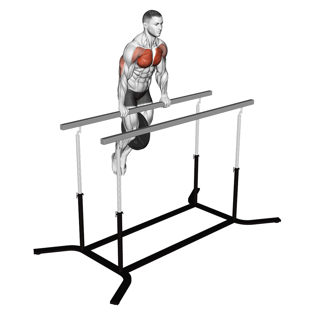 weighted straight bar dip